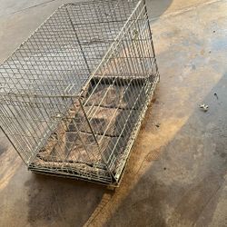Dog Kennel 
