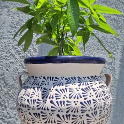 💥 Talavera Blue/white Medium Pot 💥