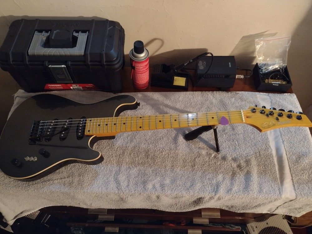 Raven Guitar For Trade