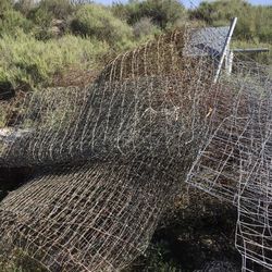 Goat Used Fencing