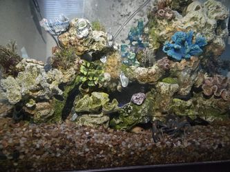 Freshwater tanks. Everything inside included