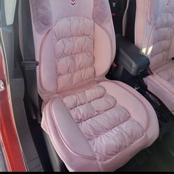 Set Of 2 Car Seat Covers 