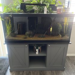 75 Gallon Fish Tank Aquarium 