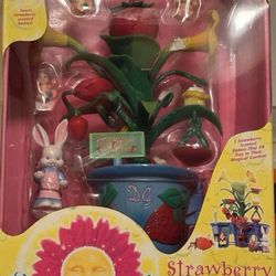 Strawberry Dream Garden 
