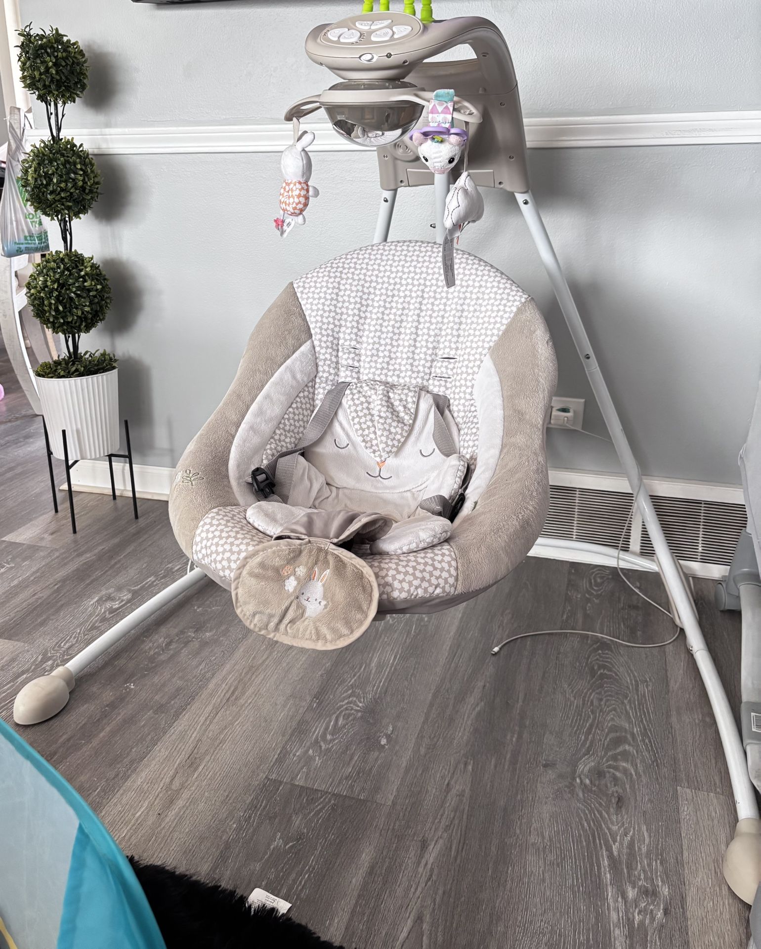 Baby Swing