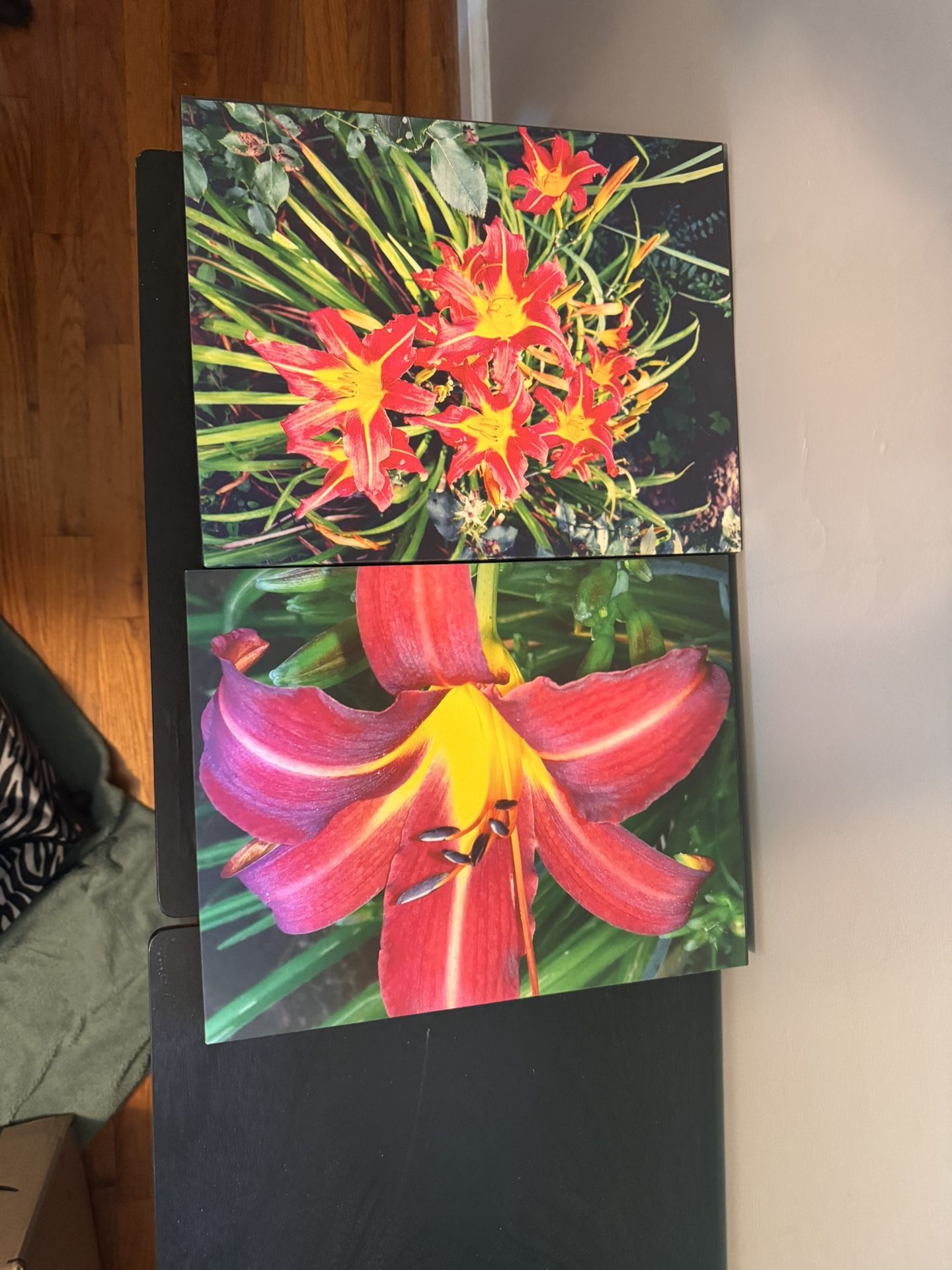 Canvas Flower Paintings