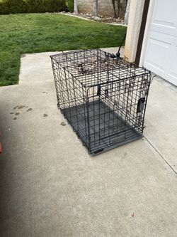 Dog Crate