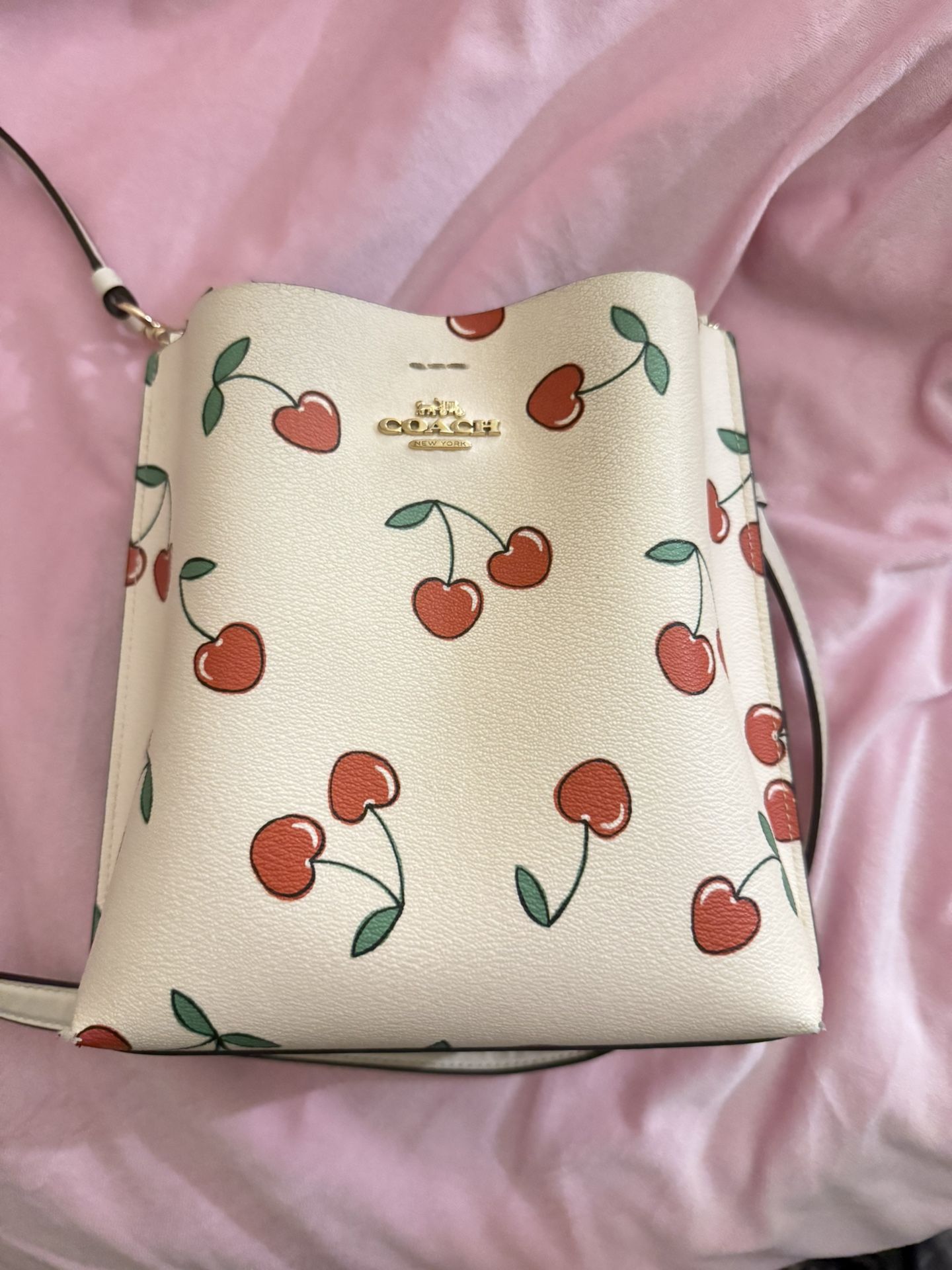 Cherry Coach Bag