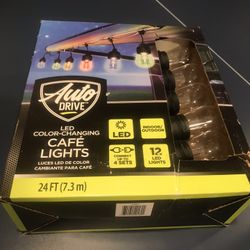 $10 LED Indoor/Outdoor Party Lights