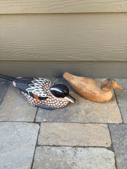 Ducks