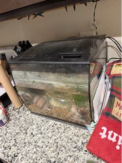 FREE Fluval 9 gallon fish tank