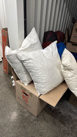 Parachute down Euro pillows on
