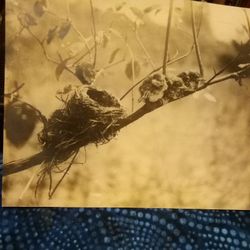 Early Photogragh