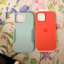 iPhone 13 Pro Max case
