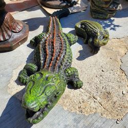 Crocodiles for sale