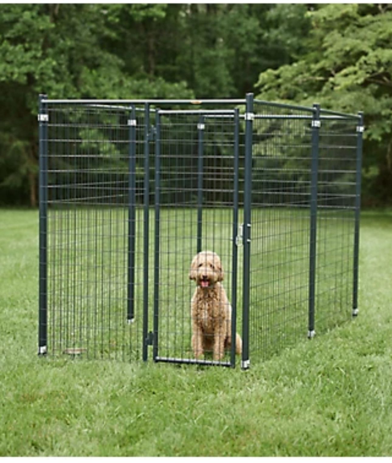 Dog Kennel 5x10ft