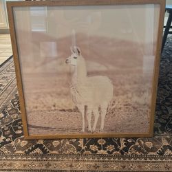 Various Framed Artwork