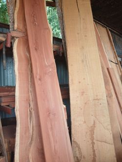 Live Edge Wood Slabs Raw Lumber