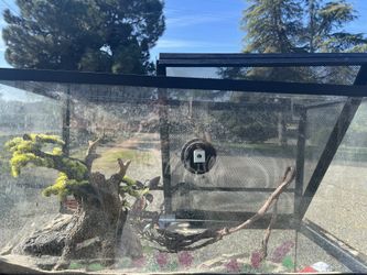 40 gallon reptile tank