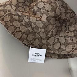 Stylish Hats & Sneakers