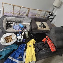 Huge Lot Of Great DOG stuff See Description