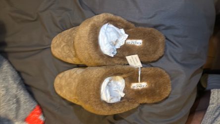 Coach Slippers