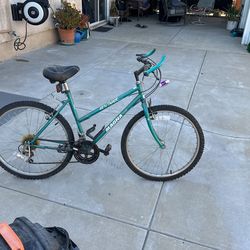 Mountain Bike