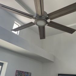 Modern Ceiling Fan 