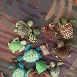 Assorted Stuffed Turtles