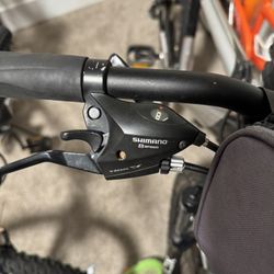 Adult Bike