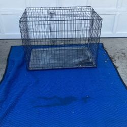 Big Dog Cage $75 OBO 