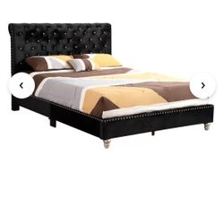 Beautiful Black Queen Upholstery Bed With Rhinestones