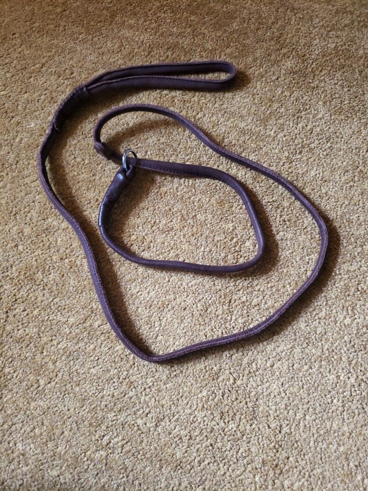 4' Leather Slip Leash