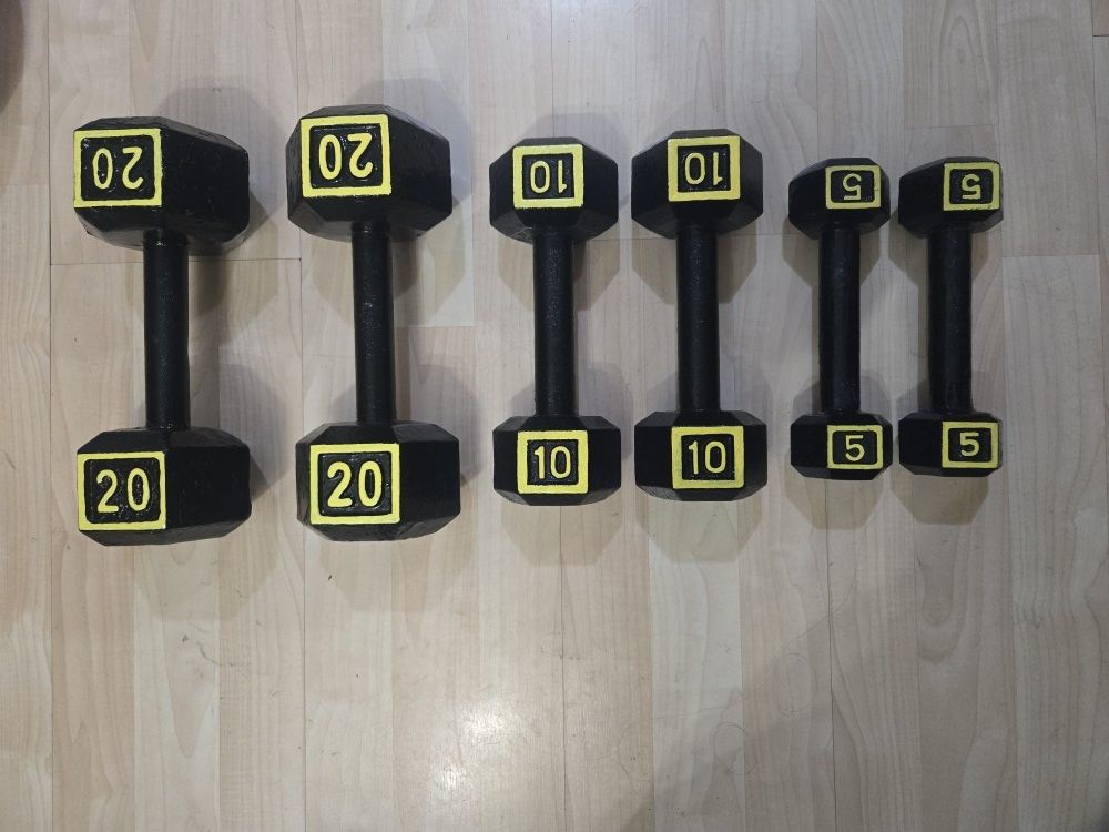 (2) 20. (2) 10. (2) 5 Lbs Dumbbells