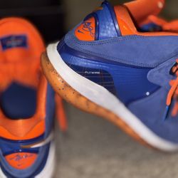 LeBron Flywire’s