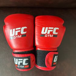 UFC Boxing Gloves 