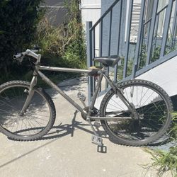 Vintage 1995 Specialized Rockhopper Mountain Bike