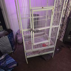 Huge Bird Cage
