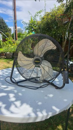 Fan