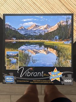 1000 piece puzzle