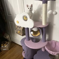 Purple Cat Tree/Scratching Post