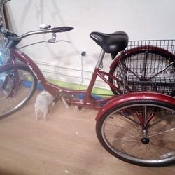 Schwinn Meridian Bike