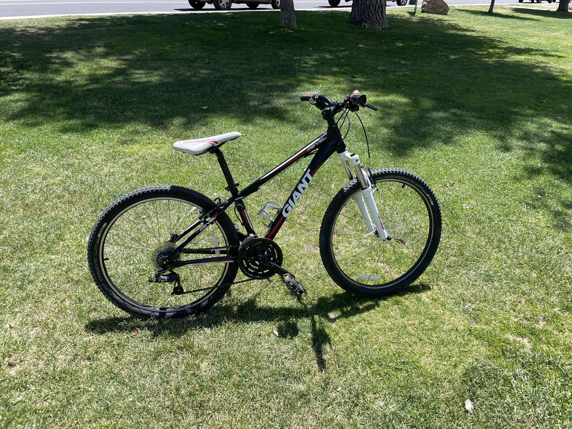 Giant Rebel XC Hardtail Mountain Bike