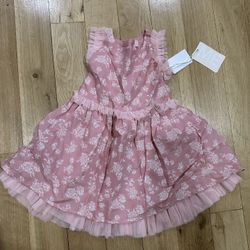 Pink Dress Size 2T Mia & Emma