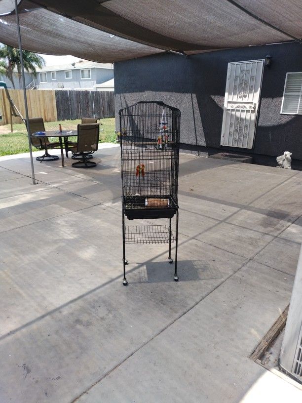 Bird Cage