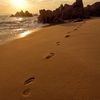 OneMoreStep.MyFootprint