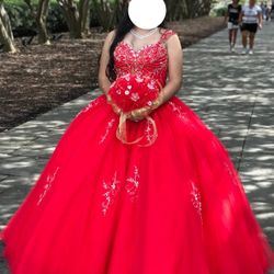 Quinceañera/ Sweet 16 Dress