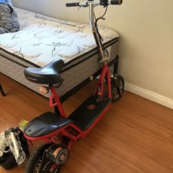 Electric Scooter 