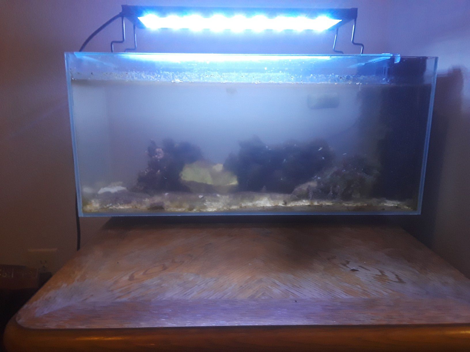 15 gallon salt water fish tank w/ led color changing lights