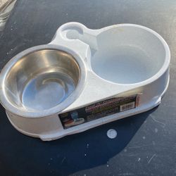 Dog food and water bowls